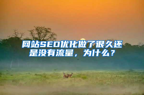 网站SEO优化做了很久还是没有流量，为什么？