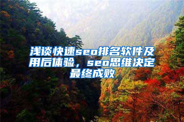 浅谈快速seo排名软件及用后体验，seo思维决定最终成败