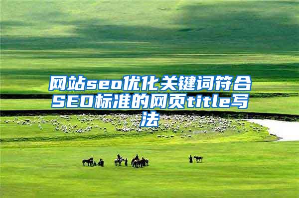 网站seo优化关键词符合SEO标准的网页title写法