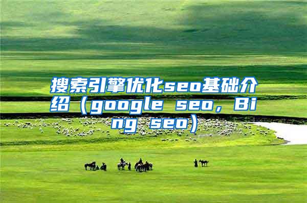 搜索引擎优化seo基础介绍（google seo，Bing seo）
