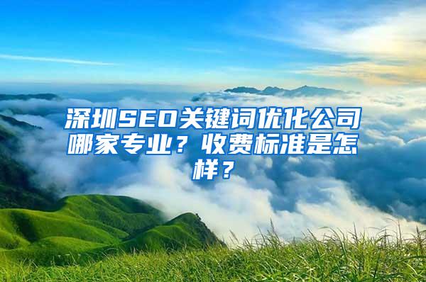 深圳SEO关键词优化公司哪家专业？收费标准是怎样？