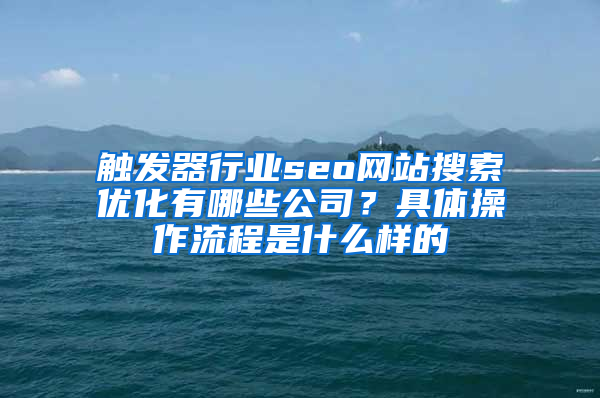 触发器行业seo网站搜索优化有哪些公司？具体操作流程是什么样的