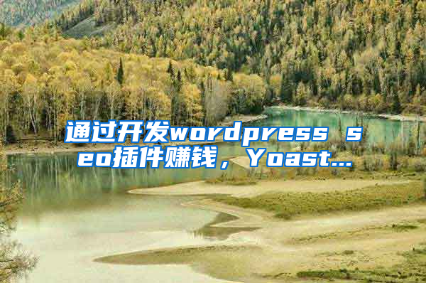 通过开发wordpress seo插件赚钱，Yoast...