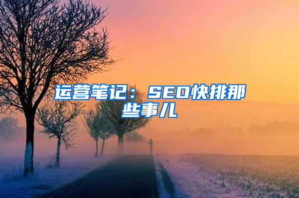 运营笔记：SEO快排那些事儿