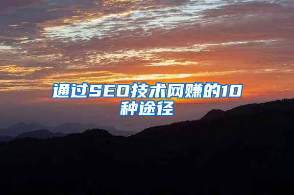 通过SEO技术网赚的10种途径