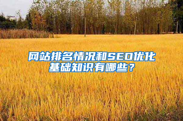 网站排名情况和SEO优化基础知识有哪些？