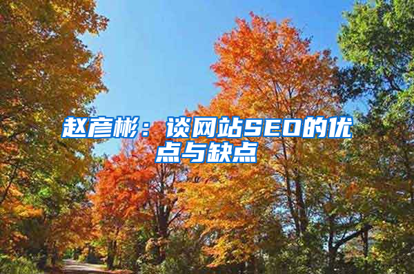 赵彦彬：谈网站SEO的优点与缺点
