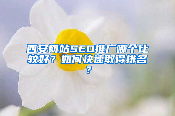 西安网站SEO推广哪个比较好？如何快速取得排名？