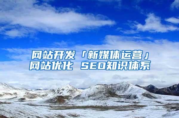 网站开发「新媒体运营」网站优化 SEO知识体系