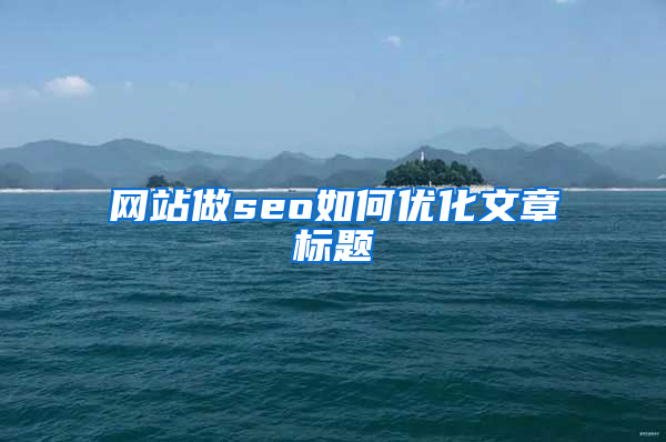 网站做seo如何优化文章标题