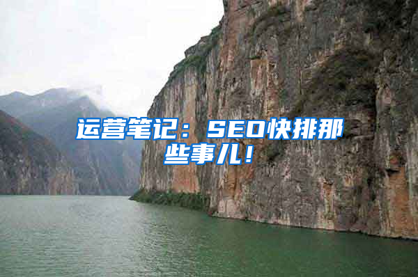 运营笔记：SEO快排那些事儿！