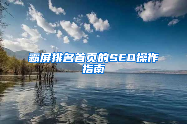 霸屏排名首页的SEO操作指南