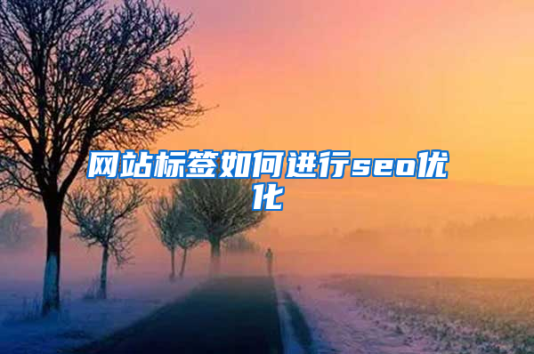 网站标签如何进行seo优化