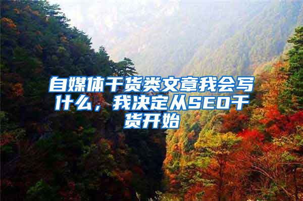 自媒体干货类文章我会写什么，我决定从SEO干货开始