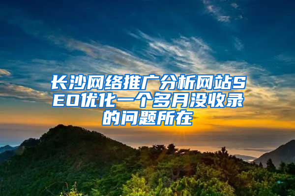 长沙网络推广分析网站SEO优化一个多月没收录的问题所在