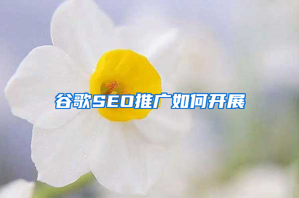 谷歌SEO推广如何开展