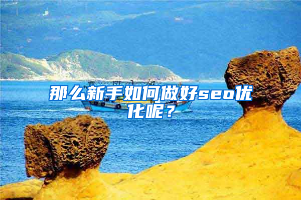 那么新手如何做好seo优化呢？