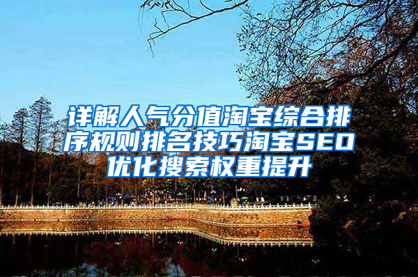 详解人气分值淘宝综合排序规则排名技巧淘宝SEO优化搜索权重提升