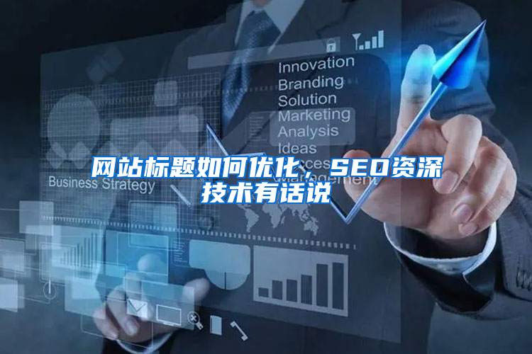 网站标题如何优化，SEO资深技术有话说