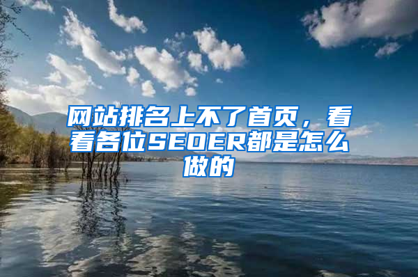 网站排名上不了首页，看看各位SEOER都是怎么做的