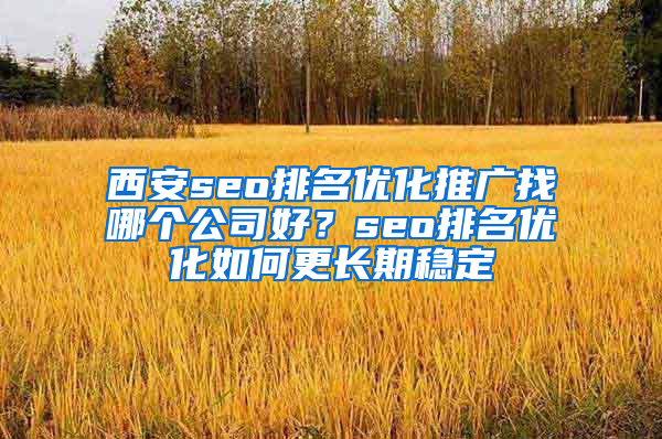 西安seo排名优化推广找哪个公司好？seo排名优化如何更长期稳定