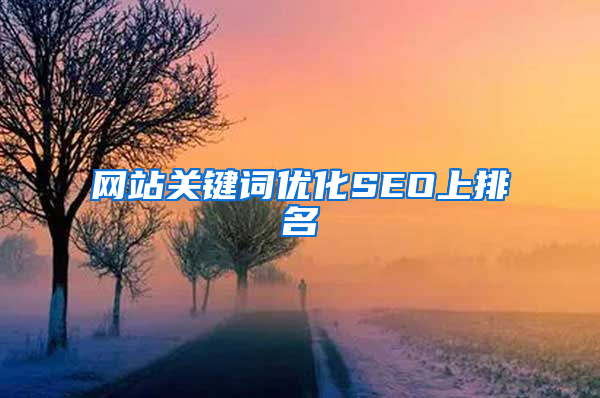 网站关键词优化SEO上排名