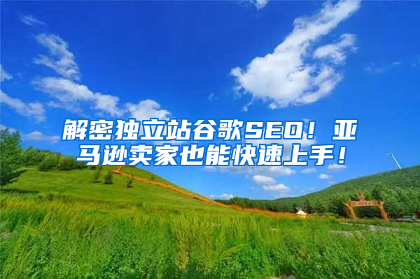 解密独立站谷歌SEO！亚马逊卖家也能快速上手！