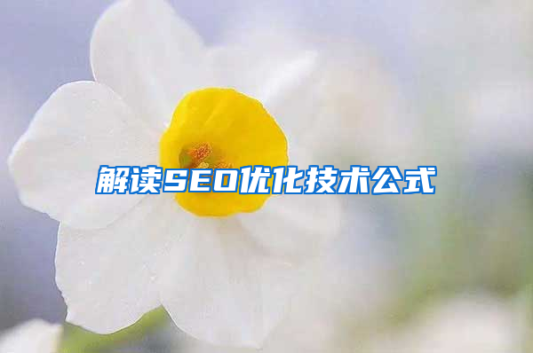 解读SEO优化技术公式
