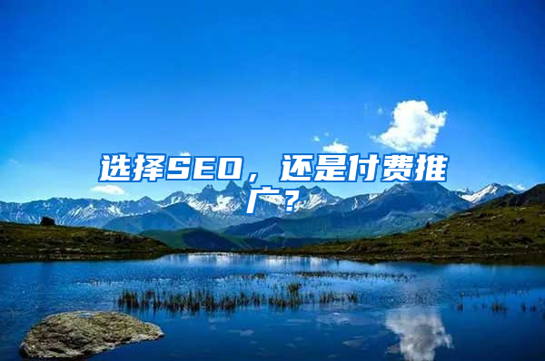 选择SEO，还是付费推广？