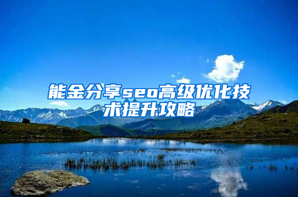 能金分享seo高级优化技术提升攻略