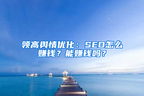 领高舆情优化：SEO怎么赚钱？能赚钱吗？