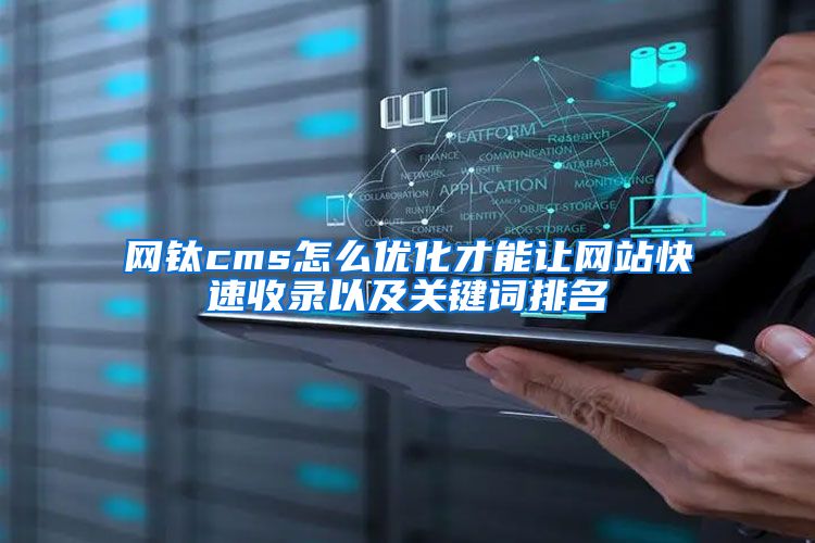 网钛cms怎么优化才能让网站快速收录以及关键词排名