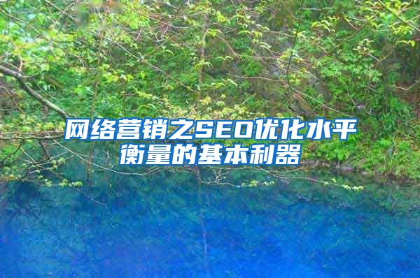 网络营销之SEO优化水平衡量的基本利器