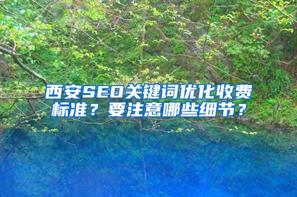 西安SEO关键词优化收费标准？要注意哪些细节？