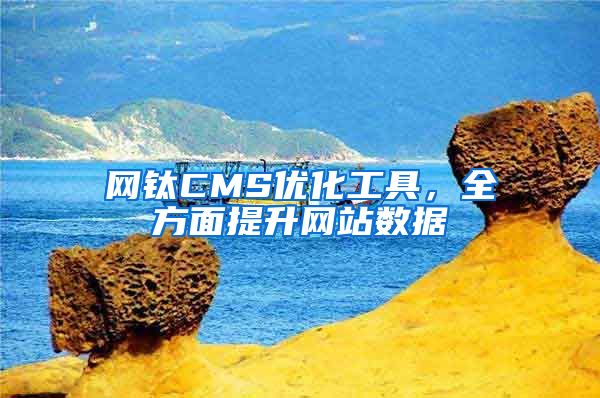 网钛CMS优化工具，全方面提升网站数据