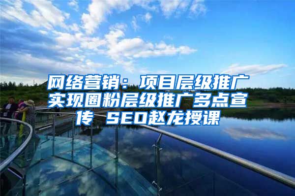 网络营销：项目层级推广实现圈粉层级推广多点宣传 SEO赵龙授课