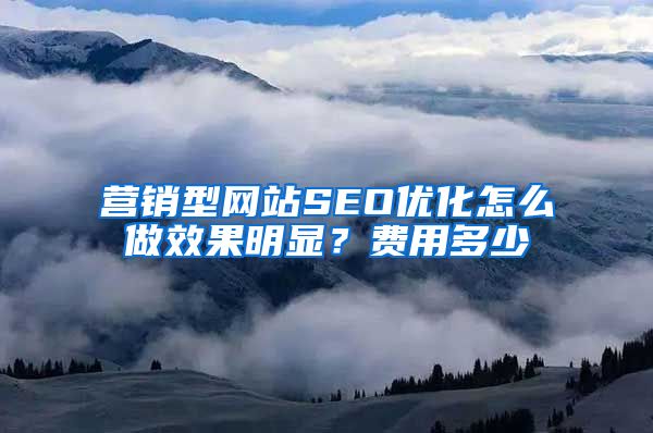 营销型网站SEO优化怎么做效果明显？费用多少
