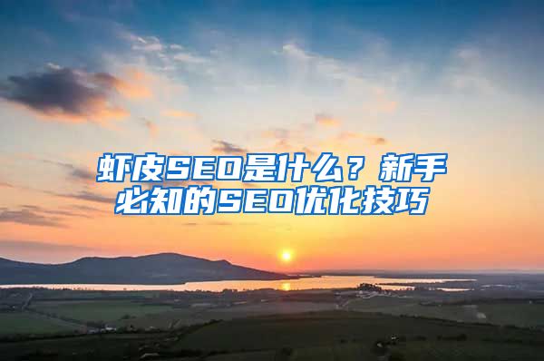 虾皮SEO是什么？新手必知的SEO优化技巧
