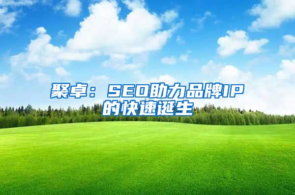 聚卓：SEO助力品牌IP的快速诞生