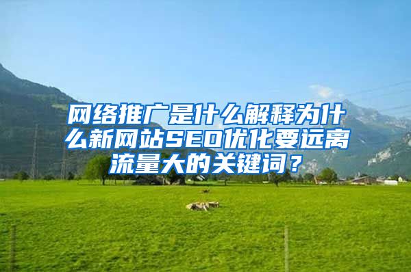 网络推广是什么解释为什么新网站SEO优化要远离流量大的关键词？