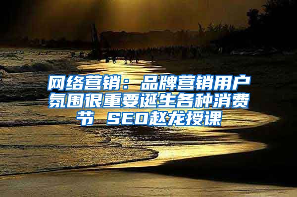 网络营销：品牌营销用户氛围很重要诞生各种消费节 SEO赵龙授课