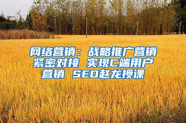 网络营销：战略推广营销紧密对接 实现C端用户营销 SEO赵龙授课