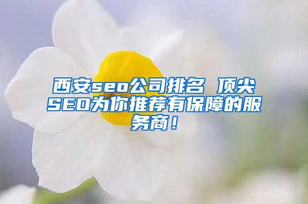 西安seo公司排名 顶尖SEO为你推荐有保障的服务商！