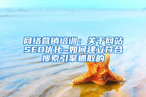 网络营销培训：关于网站SEO优化~如何建立符合搜索引擎抓取的