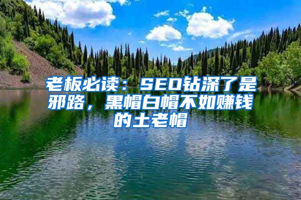 老板必读：SEO钻深了是邪路，黑帽白帽不如赚钱的土老帽