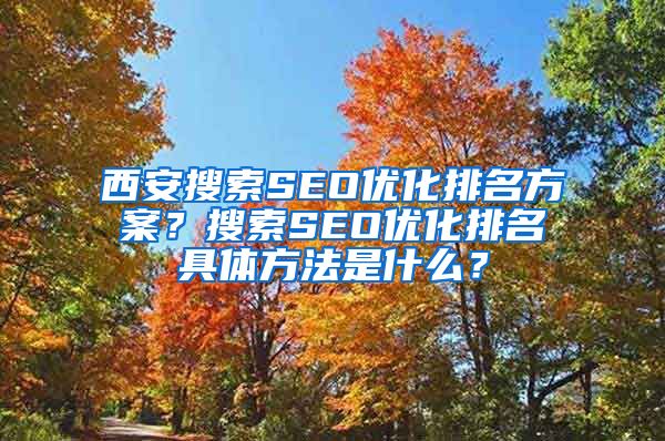 西安搜索SEO优化排名方案？搜索SEO优化排名具体方法是什么？