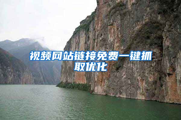 视频网站链接免费一键抓取优化