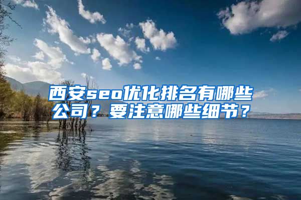 西安seo优化排名有哪些公司？要注意哪些细节？