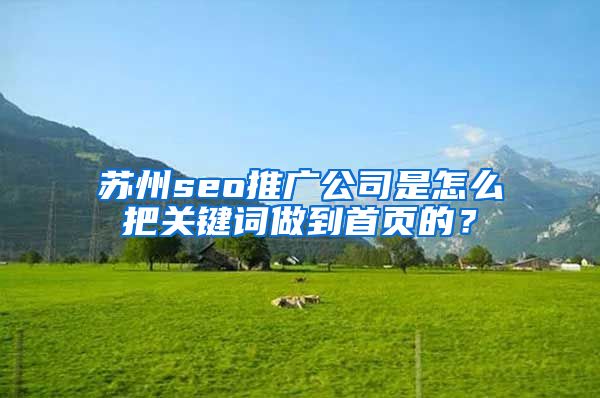 苏州seo推广公司是怎么把关键词做到首页的？