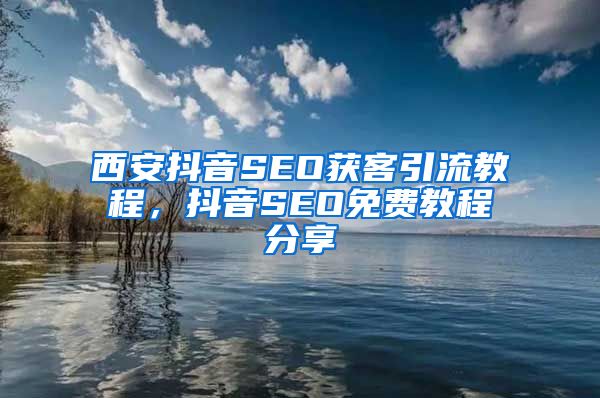 西安抖音SEO获客引流教程，抖音SEO免费教程分享